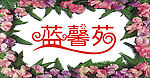 蓝馨苑艺术