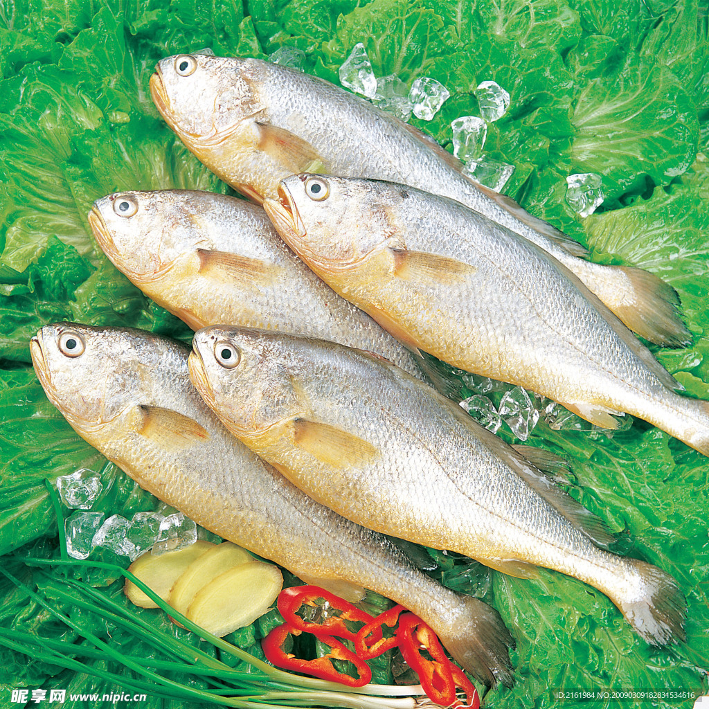 青菜 黄鱼