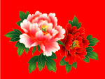 牡丹