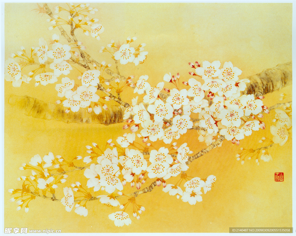 樱花(金黄色)