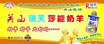 莎能奶羊