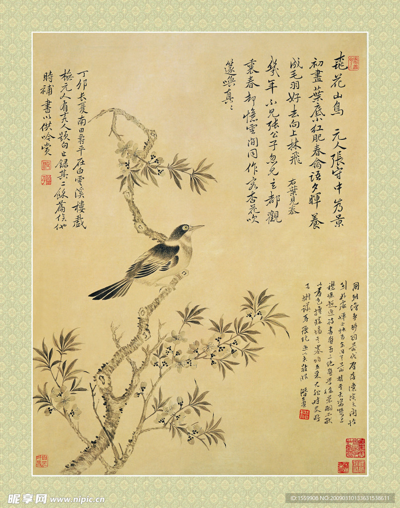 花鸟图