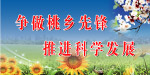 争做桃乡先峰推进科学发展