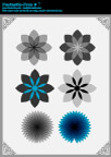 漂亮花纹