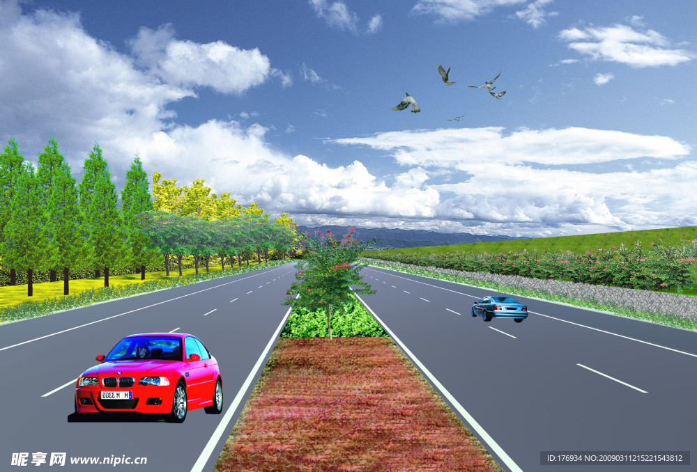 道路 设计 景观 绿化 PSD