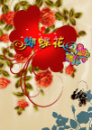蝴蝶花