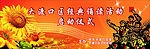 经典诵读