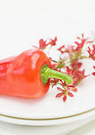 蔬菜