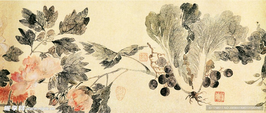 花果图