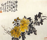 野菊