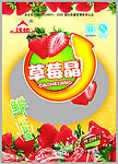 草莓晶固体饮料250g