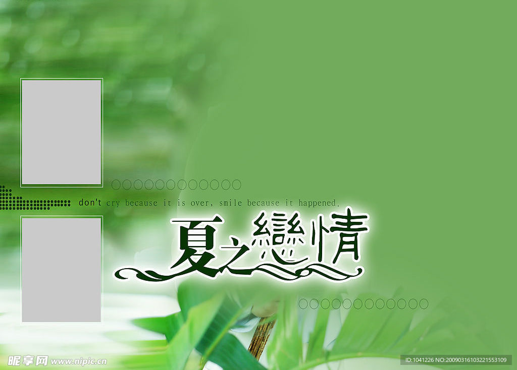 夏日恋情