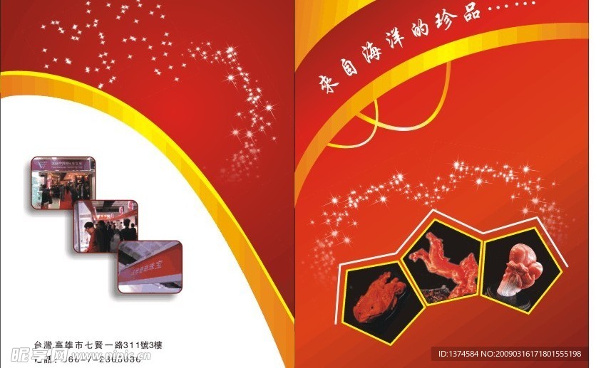 海洋珊瑚样本
