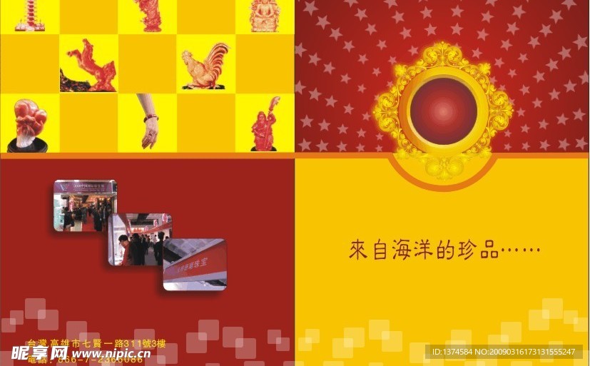 海洋珊瑚样本