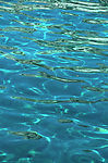 肌理 水纹