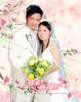 婚纱模板