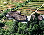 田园风光