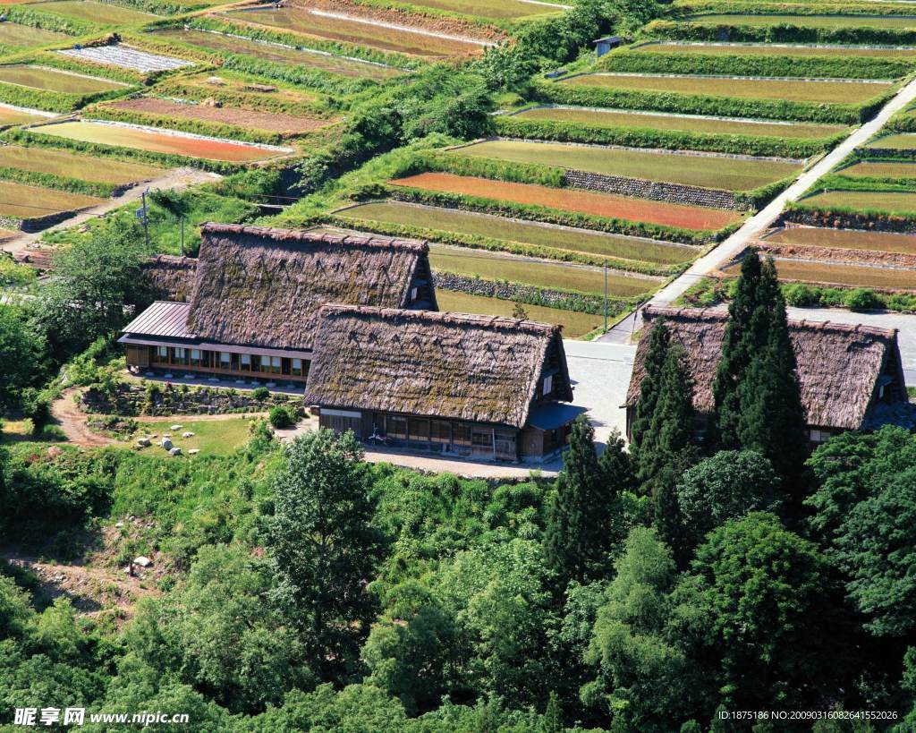 田园风光