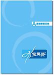 宝丽姿伞业VI模板全套共28页