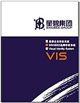 星碧集团VI模板全套22页
