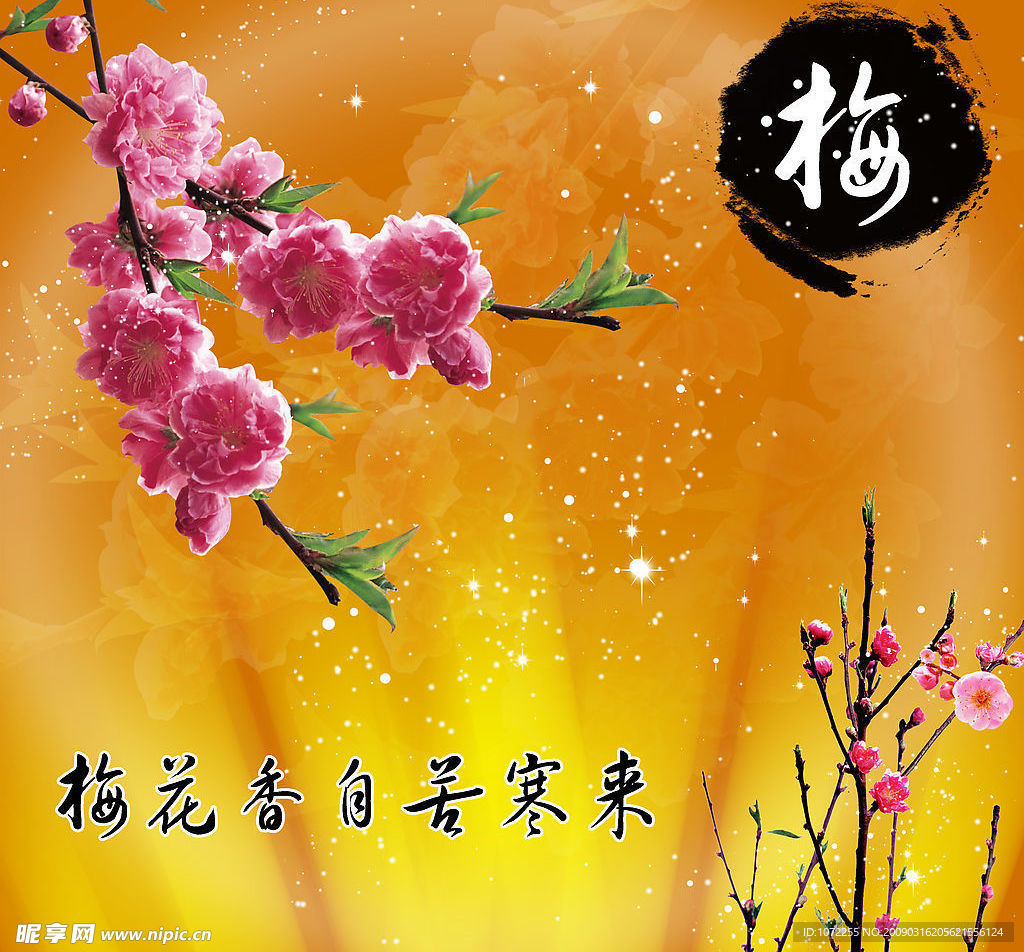 梅花