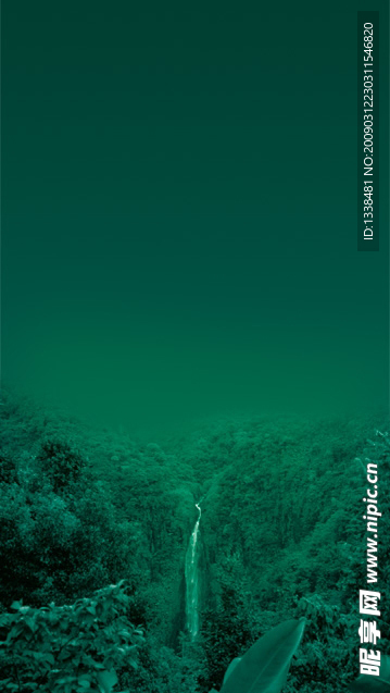 山茶