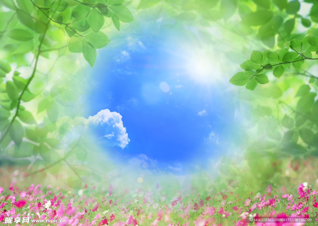 天空 树叶 花草