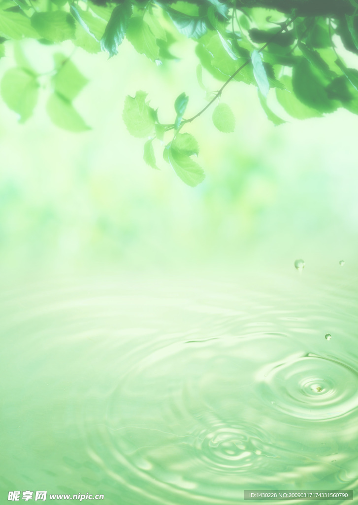 树叶 水滴 水纹