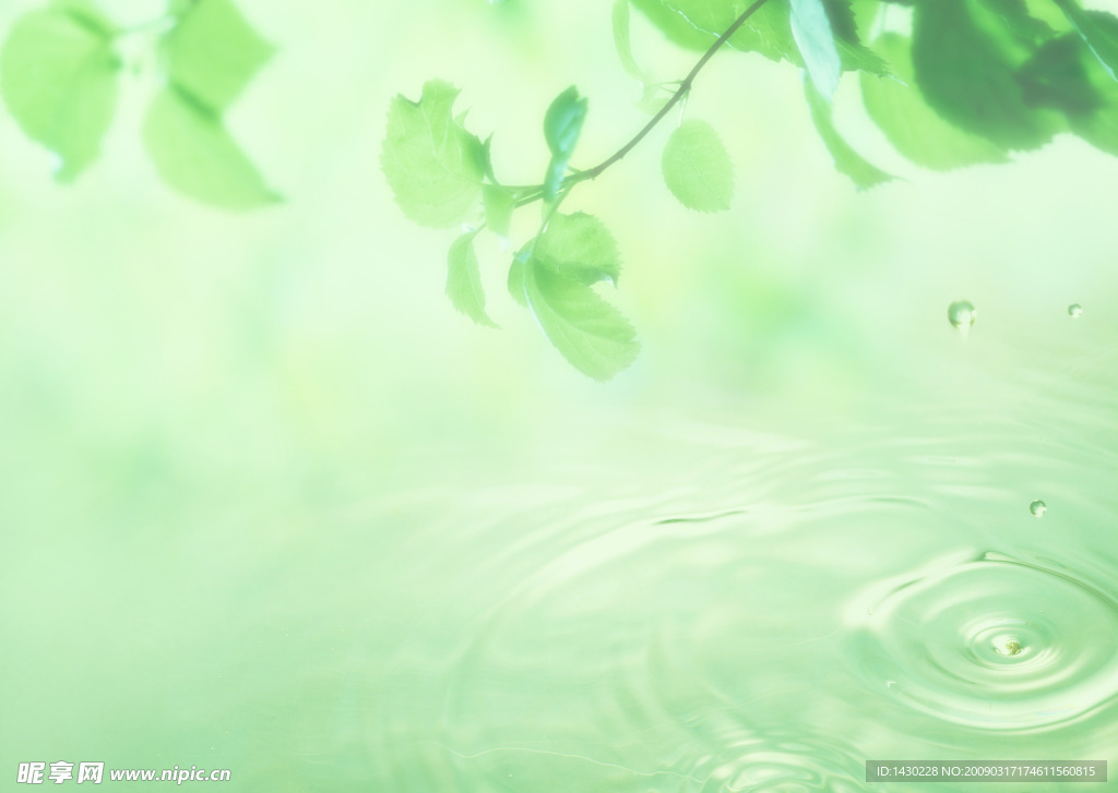 树叶 水滴 水纹