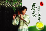 09 春茶上市