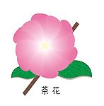 失量茶花