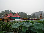 自然风景