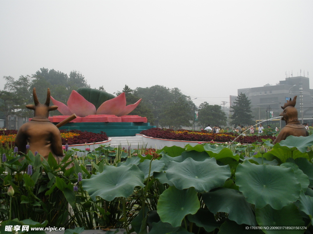 自然风景