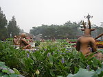 自然风景