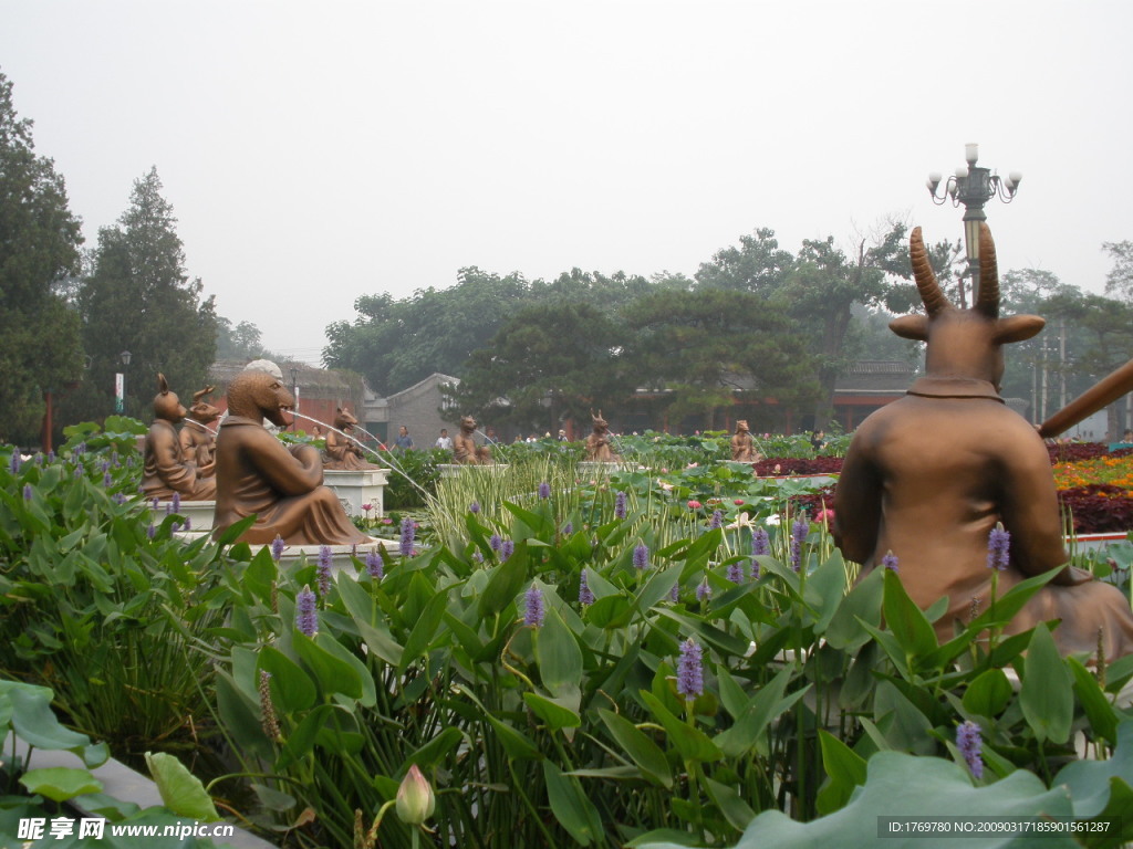 自然风景