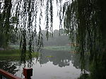自然风景