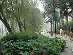 自然风景