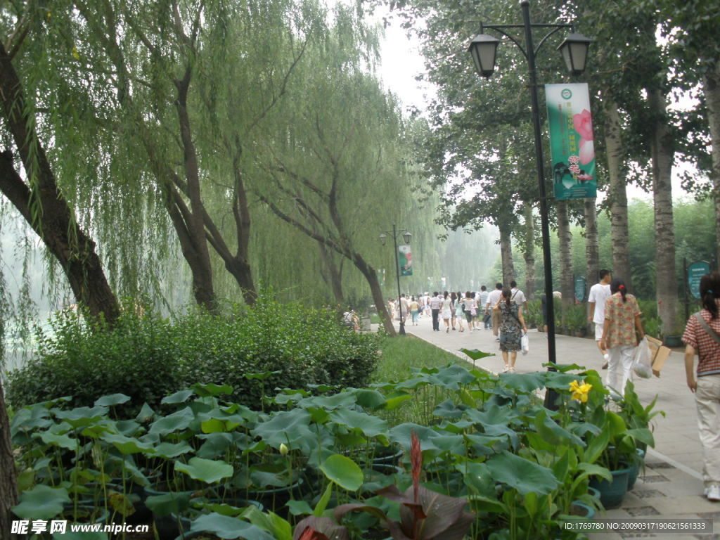 自然风景