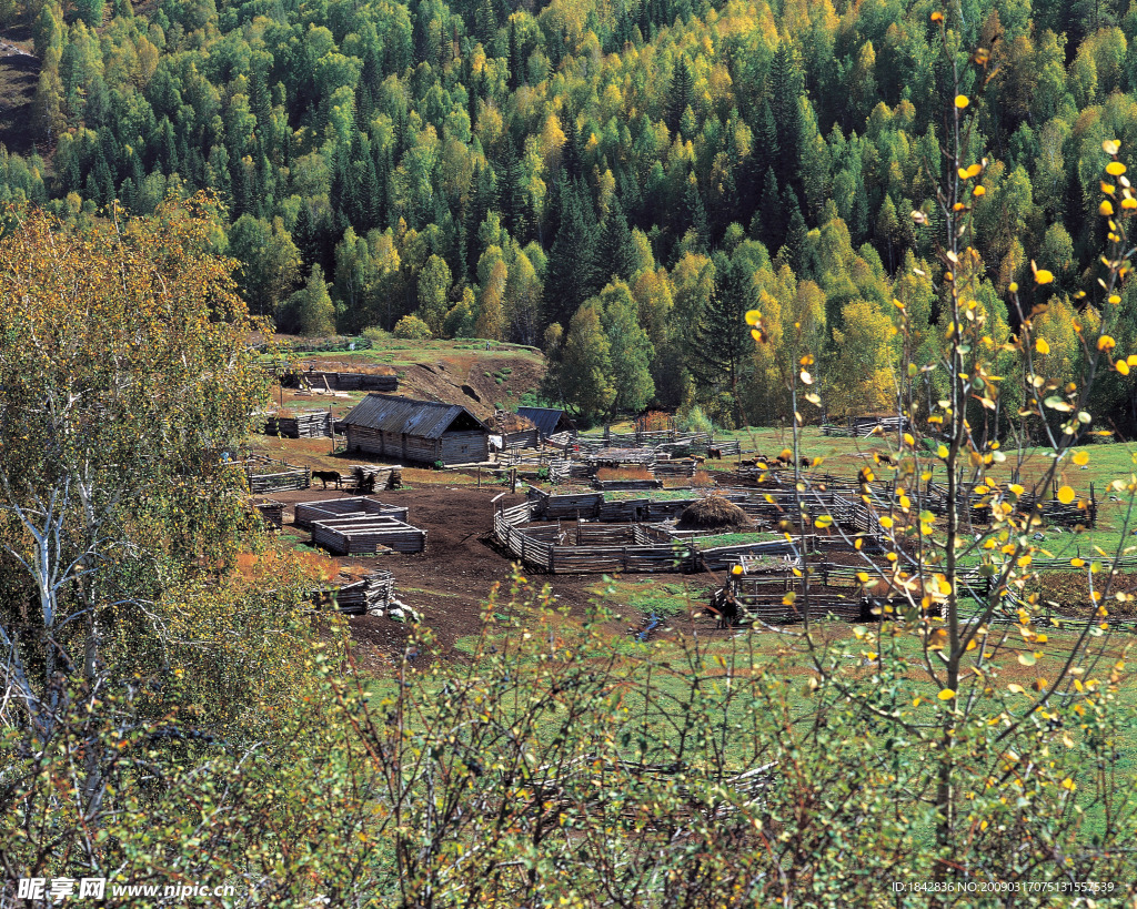 乡村风景