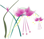 水仙花