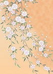 日本风格背景图  清新浪漫花纹