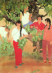 桑露