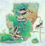 鱼露翠盖