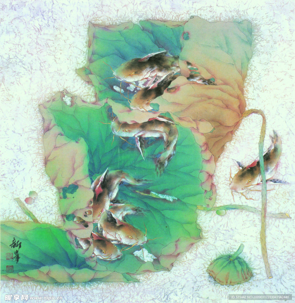 鱼露翠盖