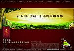 房地产广告