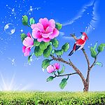 素描牡丹