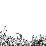 日本时尚花卉花纹花边