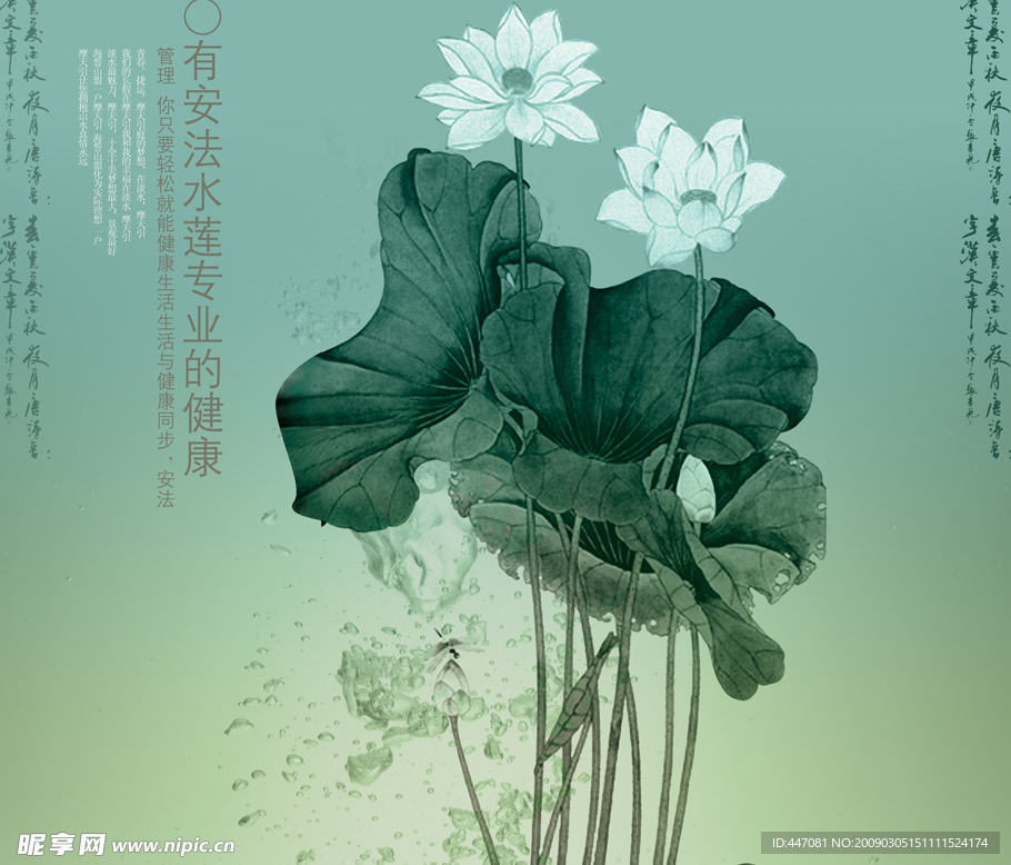 荷花 水墨图