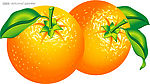 橙子矢量水果素材 AI