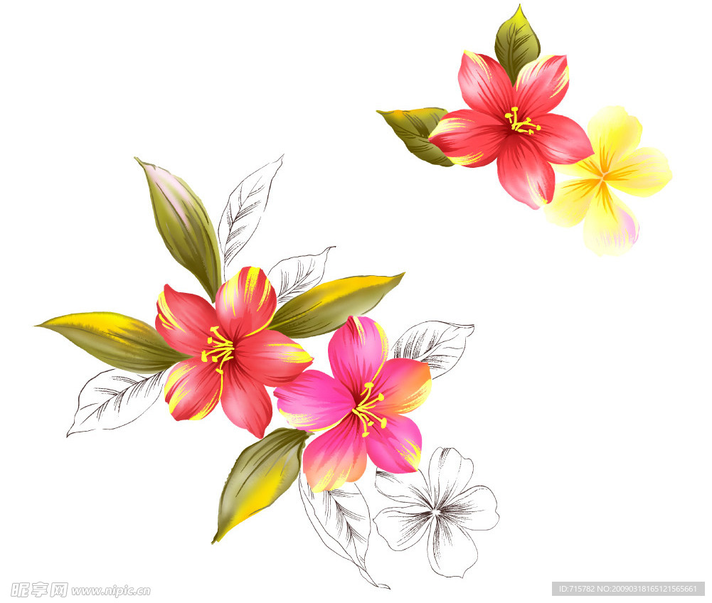 水彩漂亮花朵
